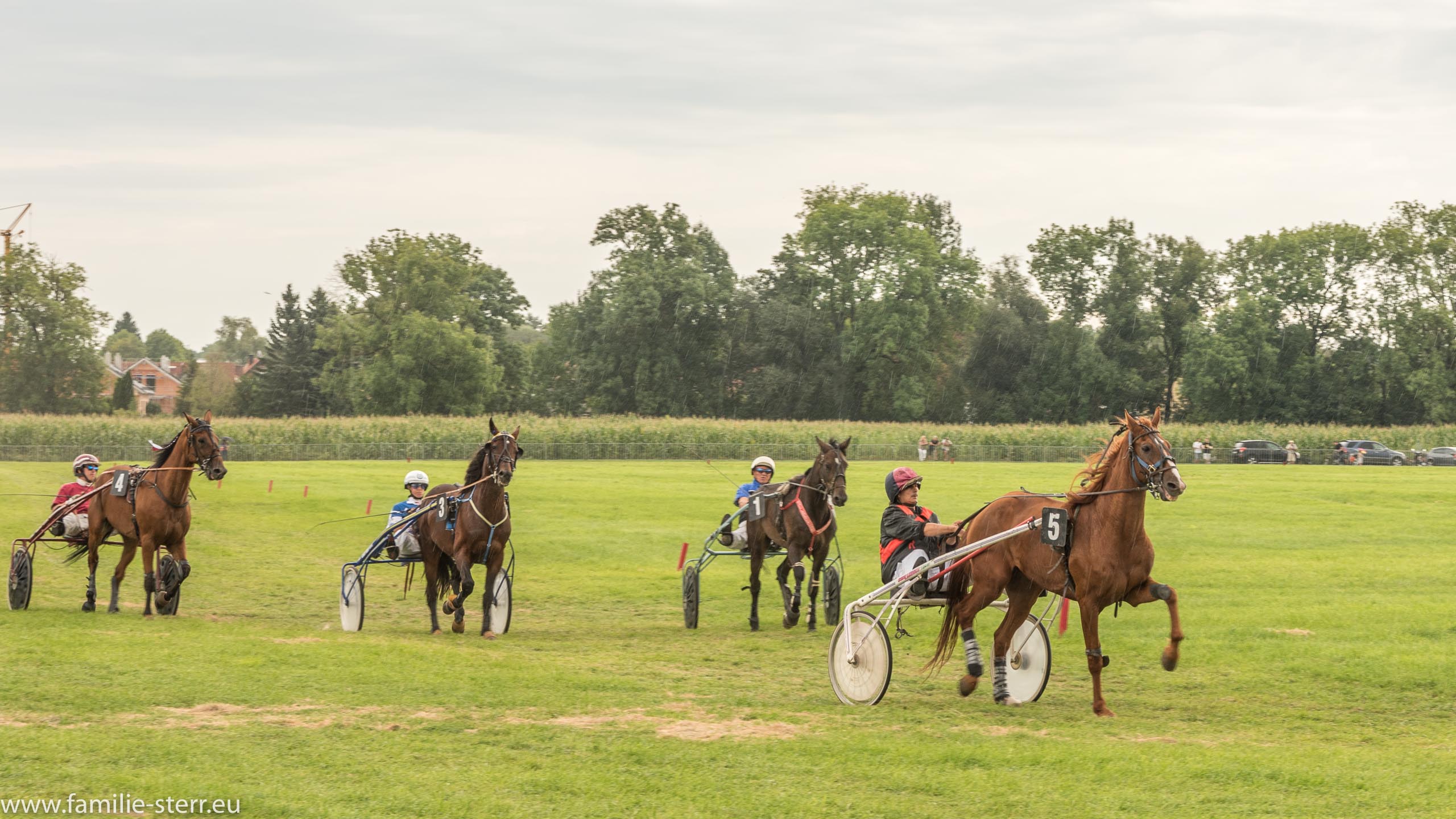 Trabrennen in Erding 2017